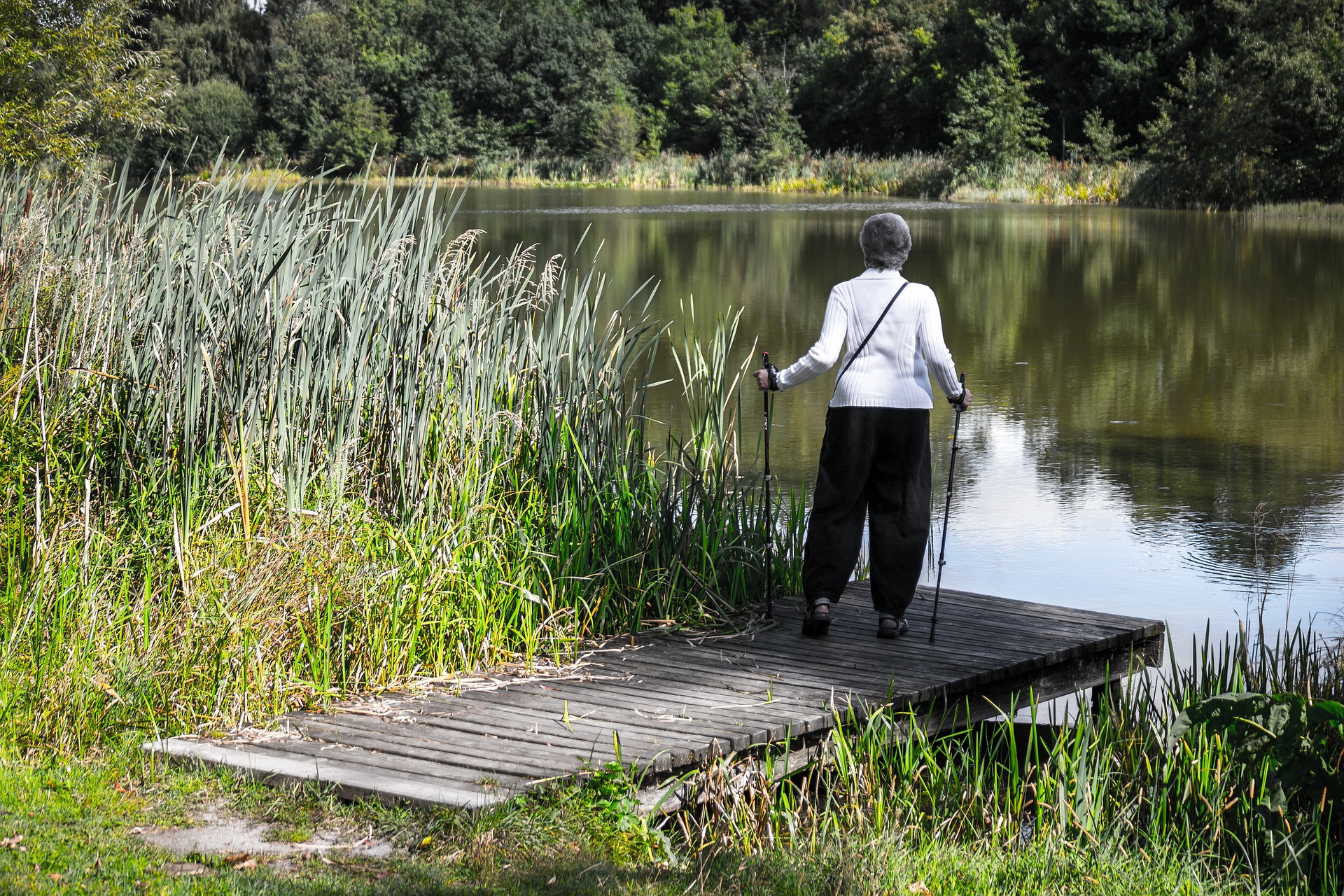 Nordic Walking-techniek - Instructies Voor Beginners | TOLYMP